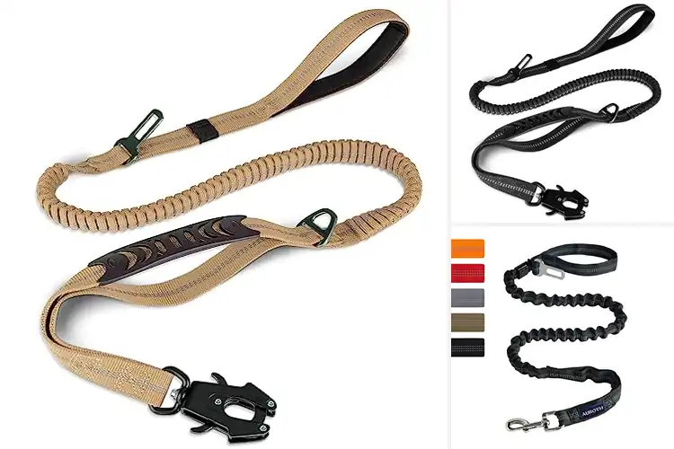 Detailed view of Best Bungee Dog Leashes