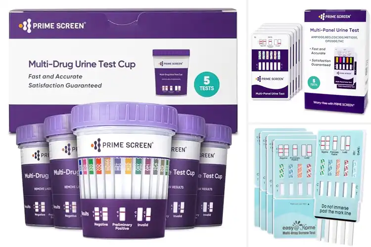 Detailed view of Best Drug Test Kits: Top Picks for Accuracy & Peace of Mind