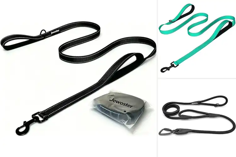 Detailed view of Best Dual Handle Dog Leashes: Top 10 Picks for Control