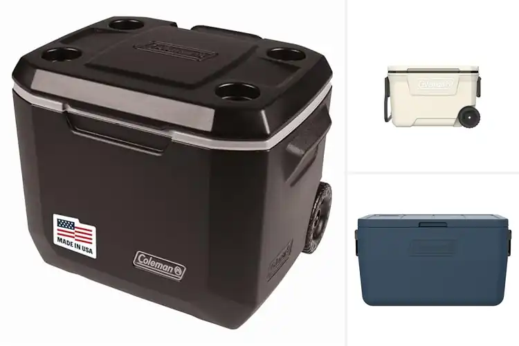 Detailed view of Best Durable Coolers