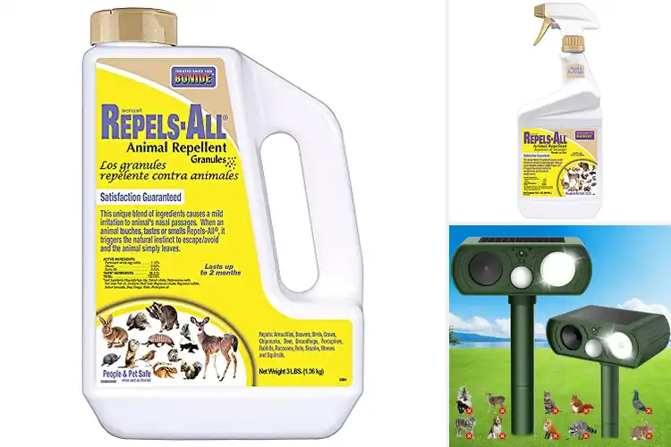 Detailed view of Best Eco-Friendly Animal Repellents