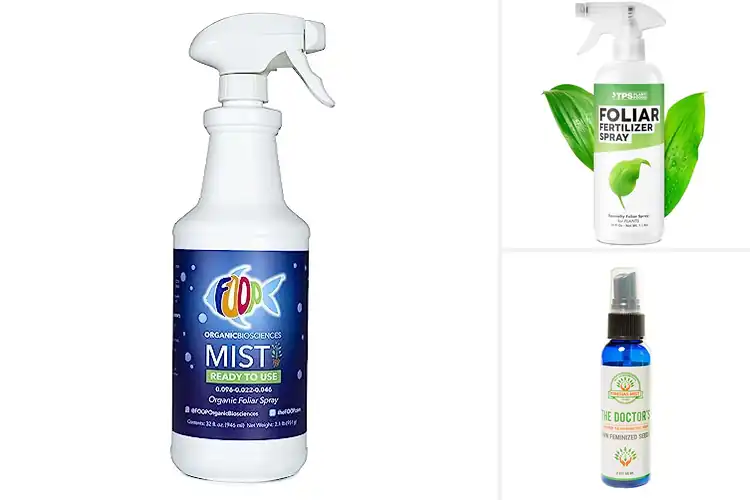 Detailed view of Best Foliar Spray Mist Makers
