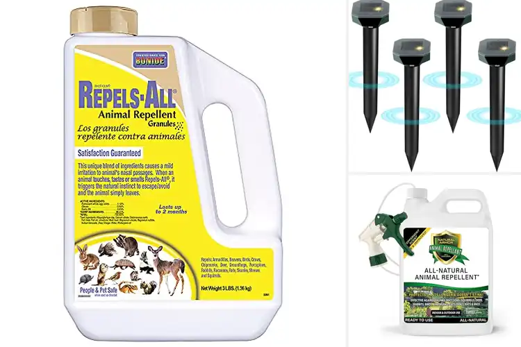 Detailed view of Best Garden Skunk Repellents