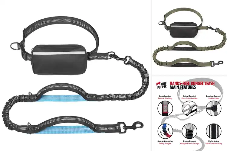 Detailed view of Best Hands Free Dog Leashes: Top 10 Picks for Active Owners