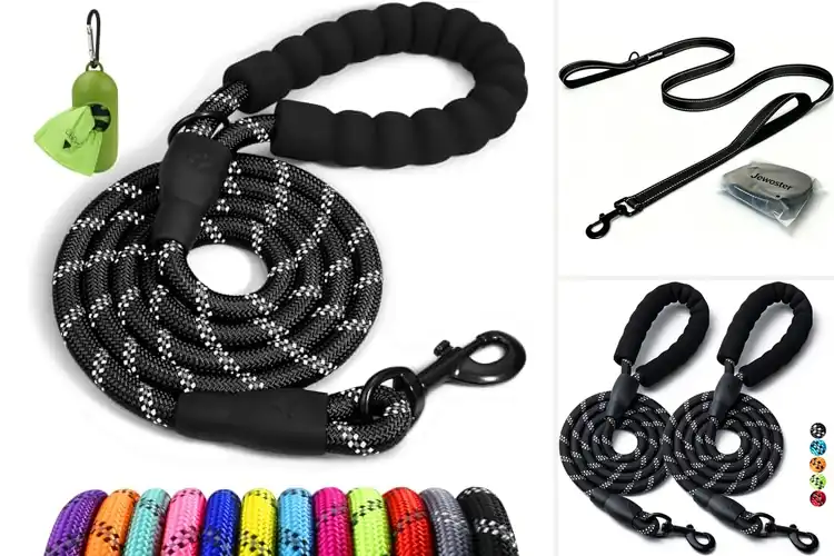 Detailed view of Best Heavy Duty Dog Leashes for Strong Pullers