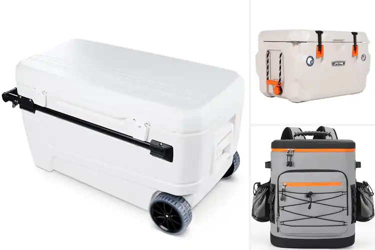 Detailed view of Best High-Capacity Coolers