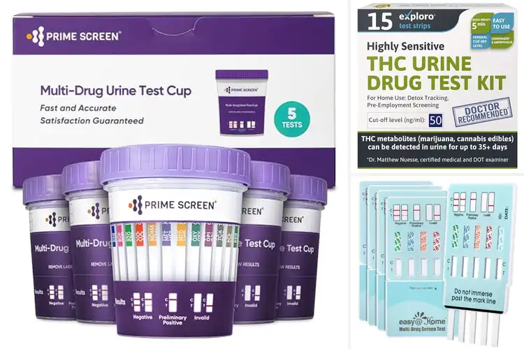 Detailed view of Best Home Drug Tests: Top 10 Picks for Accurate Results