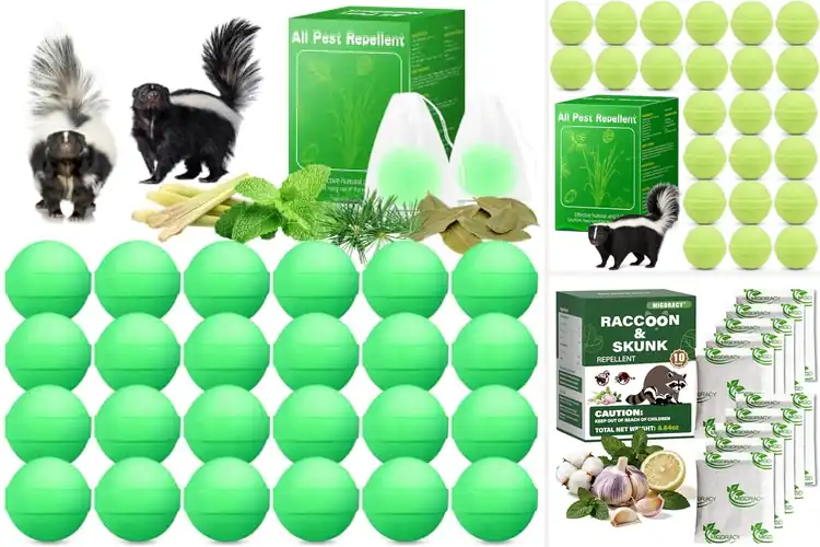 Detailed view of Best Humane Skunk Repellents: Keep Skunks Away Safely