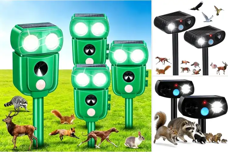 Detailed view of Best Humane Wildlife Deterrents: Keep Your Garden Safe