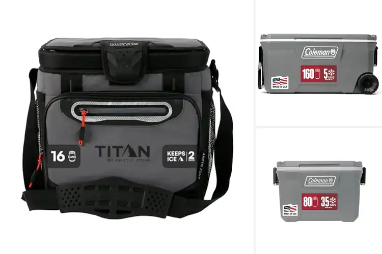 Detailed view of Best Insulated Coolers