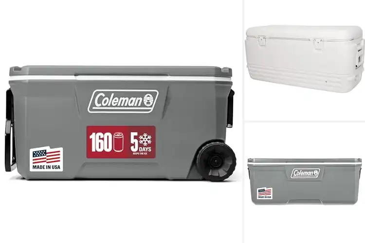 Detailed view of Best Large Coolers