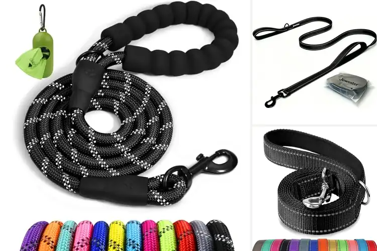 Detailed view of Best Leashes For Large Dogs: Top 10 Safe Picks