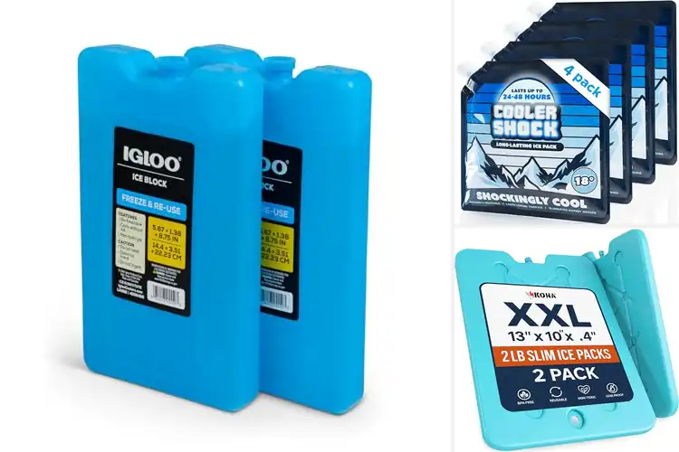 Detailed view of Best Long-Lasting Coolers