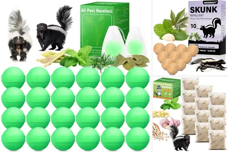 Detailed view of Best Long Lasting Skunk Repellents: Keep Skunks Away