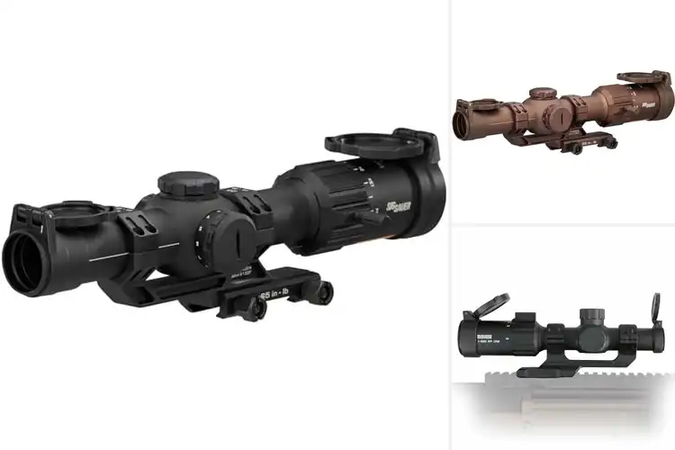 Detailed view of Best Low Power Variable Optics