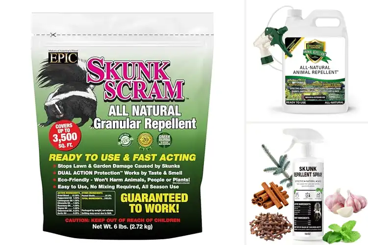 Detailed view of Best Natural Skunk Repellents: Keep Your Home Skunk-Free