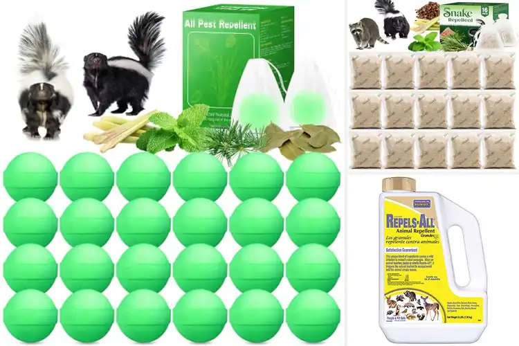 Detailed view of Best Outdoor Skunk Repellents: Keep Skunks Away Naturally