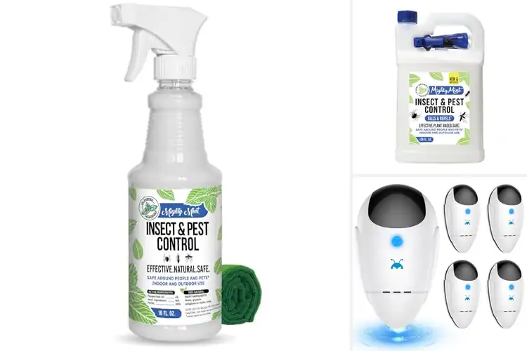 Detailed view of Best Pet-Safe Pest Repellents: Keep Bugs Away, Pets Safe