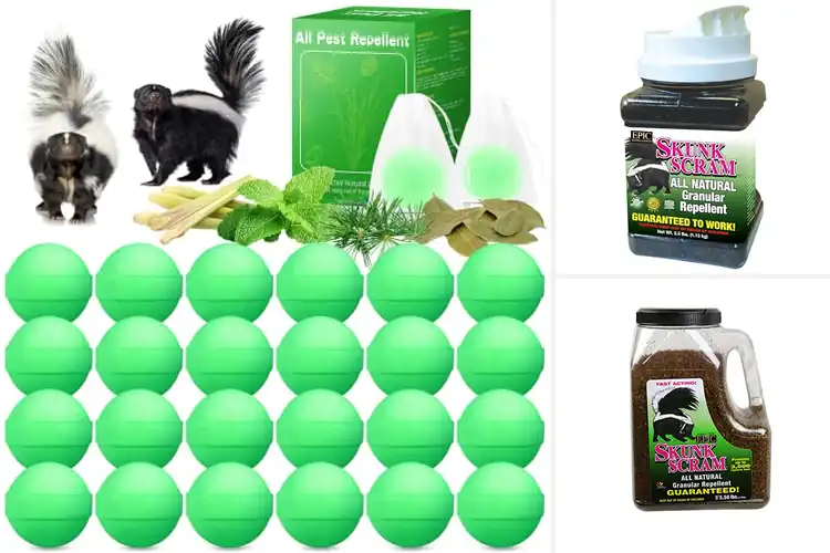 Detailed view of Best Pet Safe Skunk Repellents: Keep Skunks Away, Pets Safe