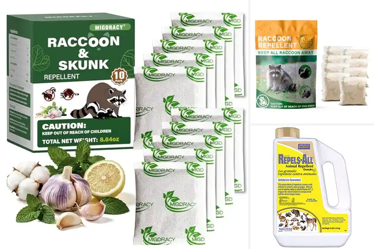 Detailed view of Best Raccoon Repellents