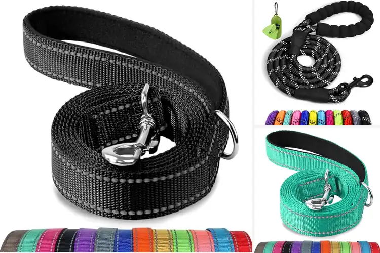 Detailed view of Best Reflective Dog Leashes