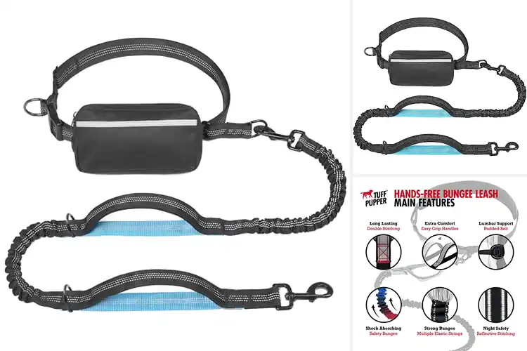 Detailed view of Best Running Dog Leashes