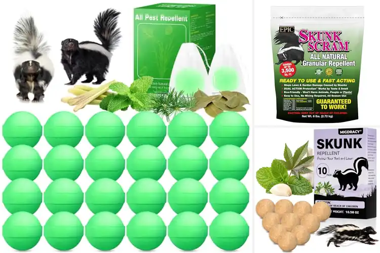 Detailed view of Best Skunk Repellents: Keep Your Yard Skunk-Free