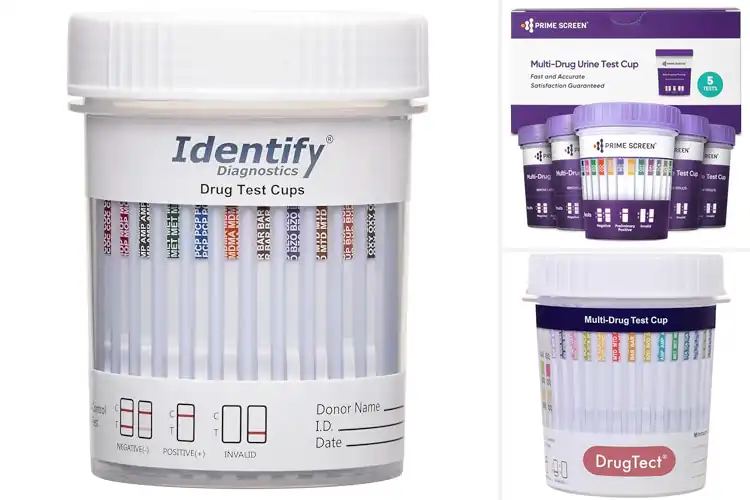 Detailed view of Best Tamper Evident Drug Test Cups: Top 10 Secure Picks